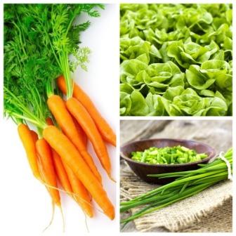 veges veges