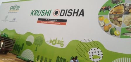 krushi mela krushi mela