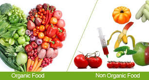 organic vs inorganic organic vs inorganic