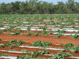 farming farming