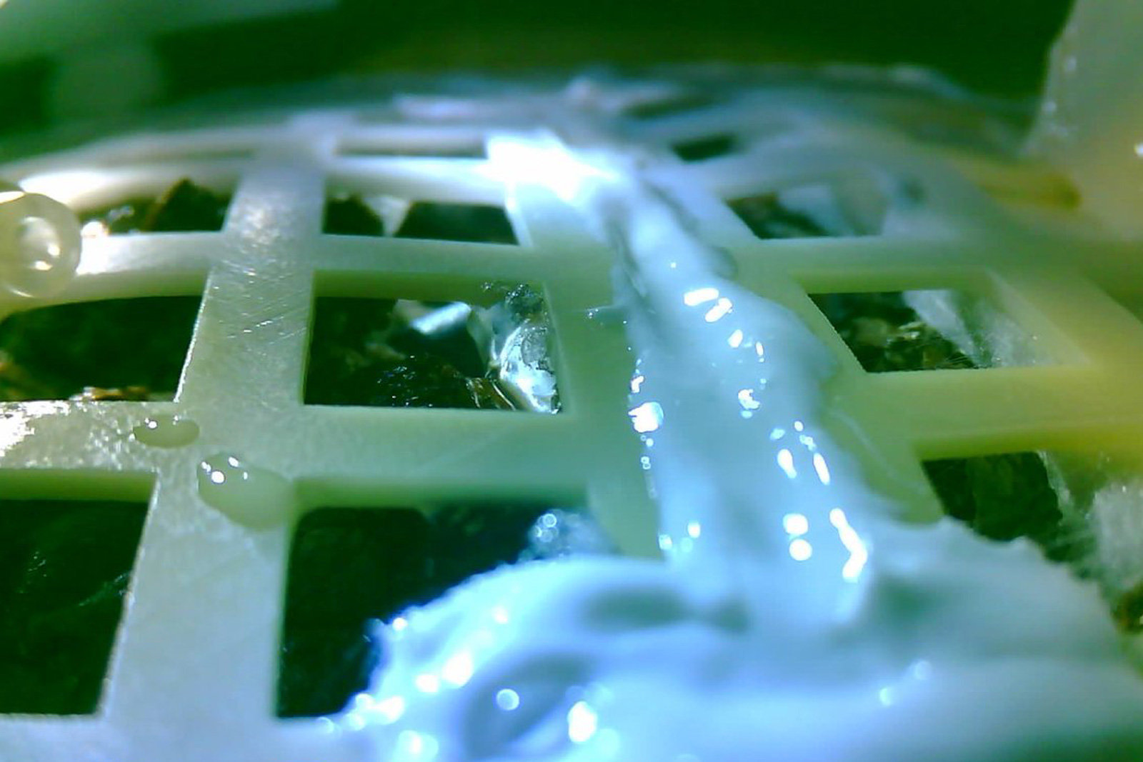 china's ist plant on moon china's ist plant on moon