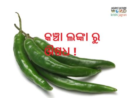 medicine from chilly medicine from chilly