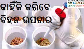 seed treatment seed treatment
