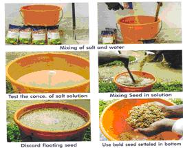 process of treatment process of treatment
