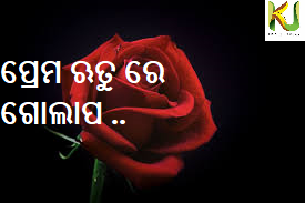 roses in valentine roses in valentine