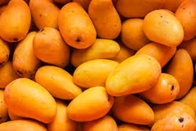 mangoes mangoes