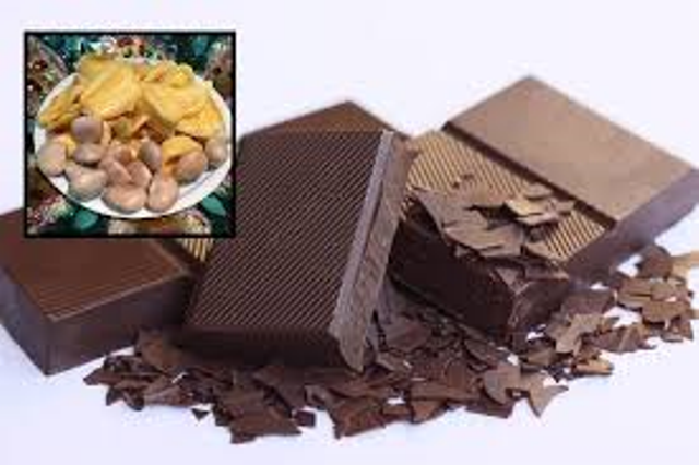 jackfruit chocolate jackfruit chocolate