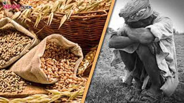 foodgrains foodgrains
