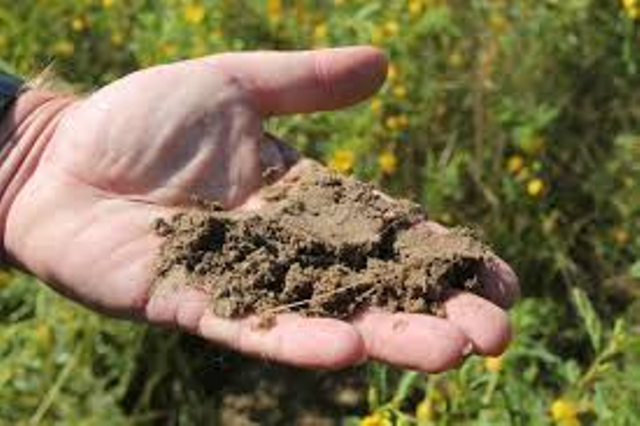 soil productivity soil productivity