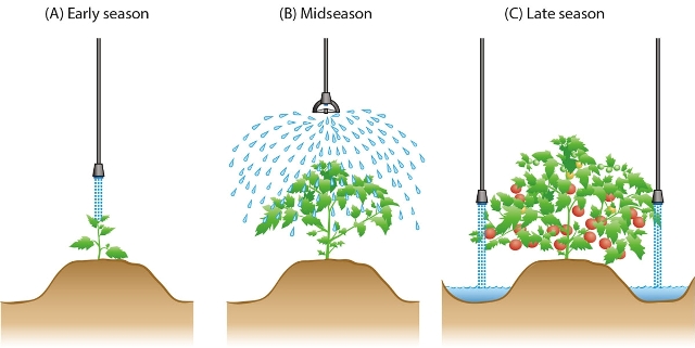 irrigation scheduling irrigation scheduling