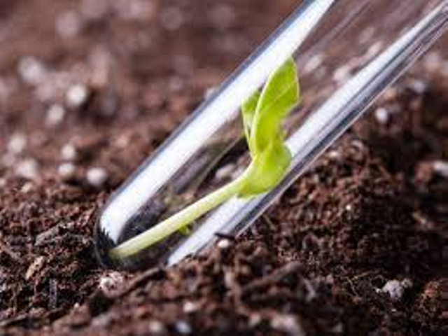 soil test soil test
