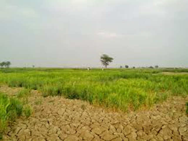 unproducative land unproducative land