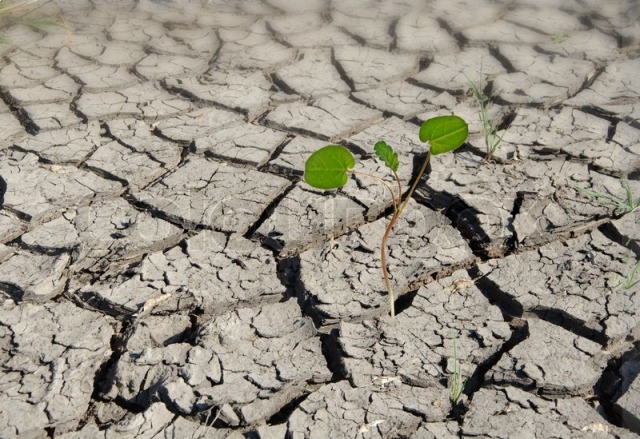 barren land barren land