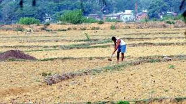farming hampered farming hampered
