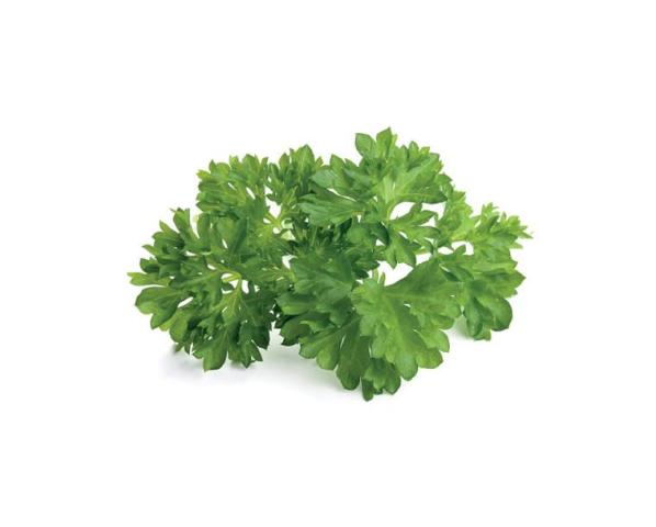 parsley parsley