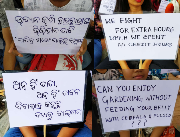 slogans of protest slogans of protest