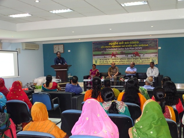 trainng programme trainng programme