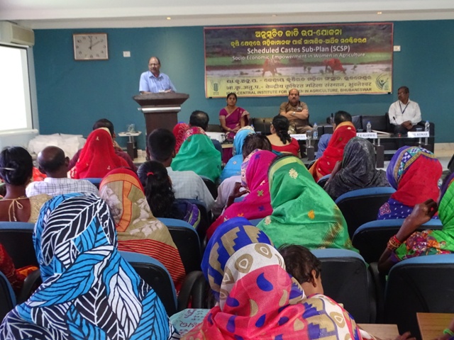 women farmers traning women farmers traning