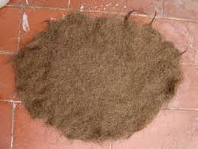 hair waste hair waste