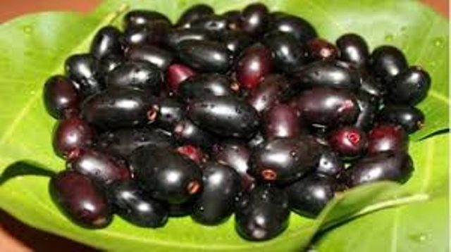 jamun jamun