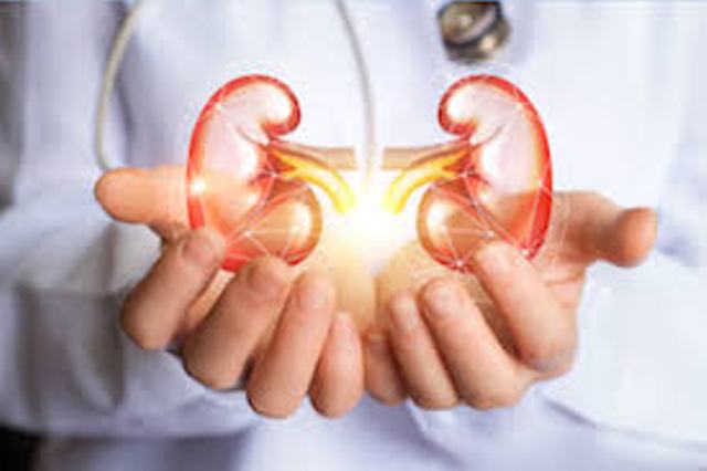 kidney tranplant kidney tranplant