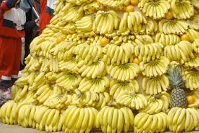 banana banana