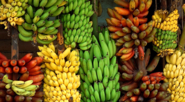banana banana