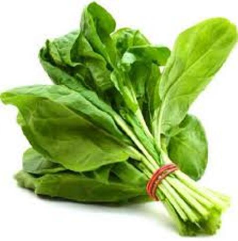 spinach spinach