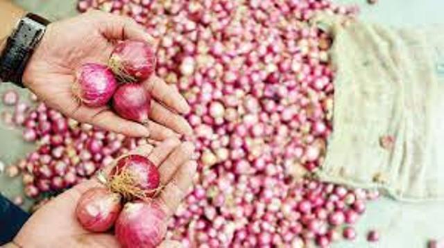 onion onion