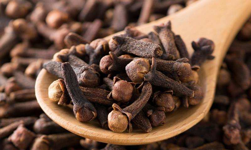 Clove on a Wooden Clove on a Wooden
