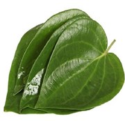 ଆପଣ ଜାଣନ୍ତୁ ପାନ ପତ୍ରର ବ୍ୟବହାର ଏବଂ ସୁଫଳସବୁ 