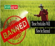 ଆପଣ ଜାଣିରଖନ୍ତୁ l ଡିସେମ୍ବର 31ରୁ ବନ୍ଦ ହେବାକୁ ଯାଉଛି ଏହିସବୁ କୀଟନାଶକ