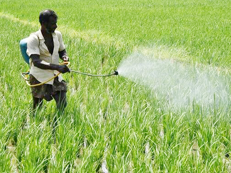 Pesticide Spray Pesticide Spray