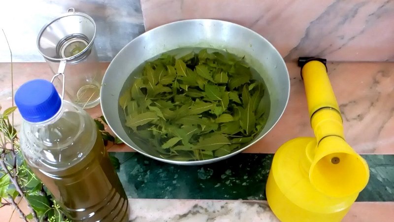 Pesticides preparation at home Pesticides preparation at home
