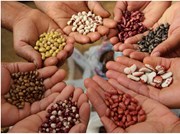 ବିହନ କଥା, ଜାଣି ରଖିଥା !!