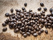 ଛେଳି ଖତର ସ୍ୱତନ୍ତ୍ର ଉପଯୋଗୀତା 