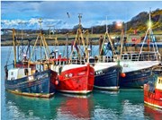 ଫିସିଙ୍ଗ୍ ଜେଟ୍ଟୀର ପୁନରୁଦ୍ଧାର: ଗୋପାଳପୁର