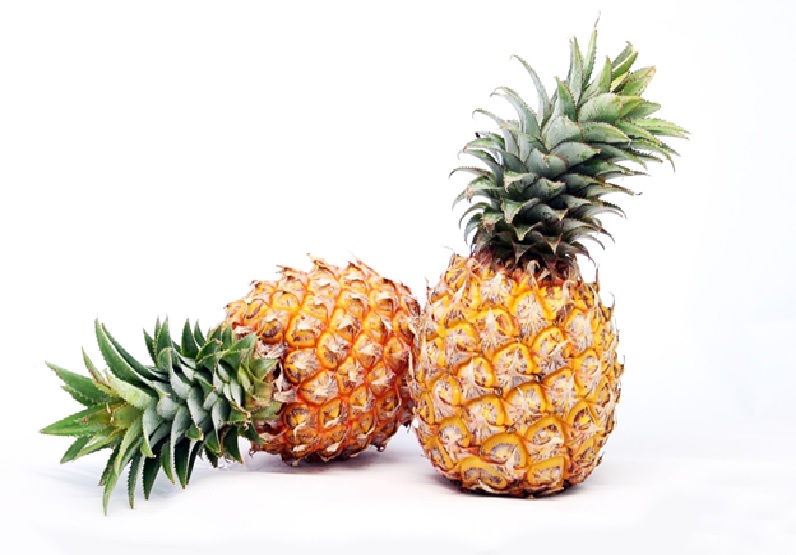 Pineapple Farming Pineapple Farming