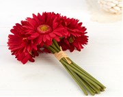 ଜର୍ବେରା ଚାଷ କରନ୍ତୁ, ମାଲାମାଲ୍ ହୁଅନ୍ତୁ !!   