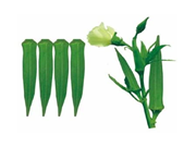 ଭେଣ୍ଡି ଗୋଟିଏ ଭଲ ପରିବା !!! 