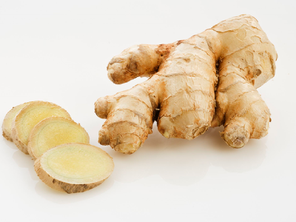 Ginger Farming Ginger Farming