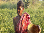 ଗାଁର ଶୋଭା: ଶୋଭା ବିଶାଲ