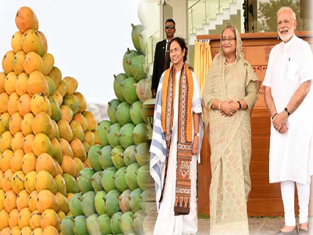 Mango Mango