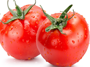 ଓଜନ ହ୍ରାସ କରିବାକୁ ଚାହାନ୍ତି କି ? ଖାଆନ୍ତୁ ଟମାଟୋ