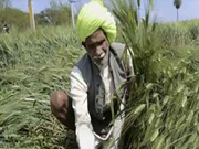 ଜୈବିକ ଚାଷୀଙ୍କୁ ରାଜସ୍ଥାନ ସରକାର ଦେଲେ ଉପହାର