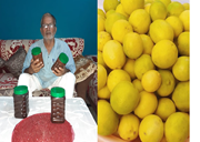 ସଫଳ ଲେମ୍ବୁ ଚାଷୀ: କୁଲଦୀପ ସିଂ