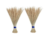 ସ୍ୱାବଲମ୍ବନର ଭିନ୍ନ ଉତ୍ସ: ଝାଡ଼ୁ ପ୍ରସ୍ତୁତି