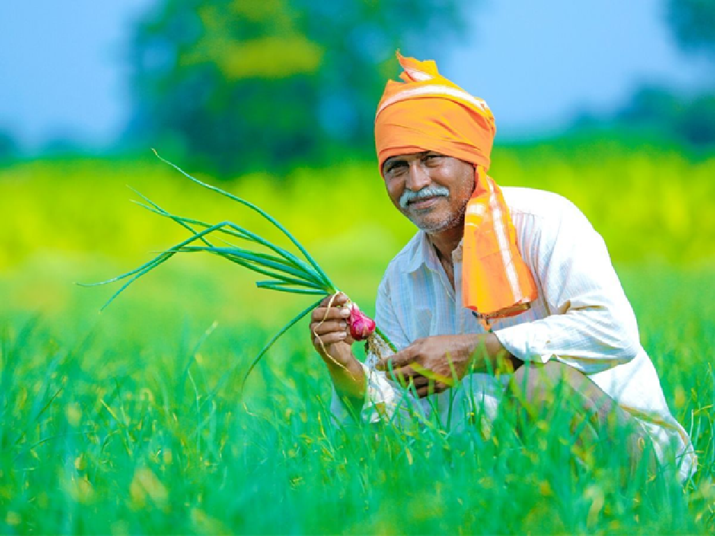 Farmers Farmers