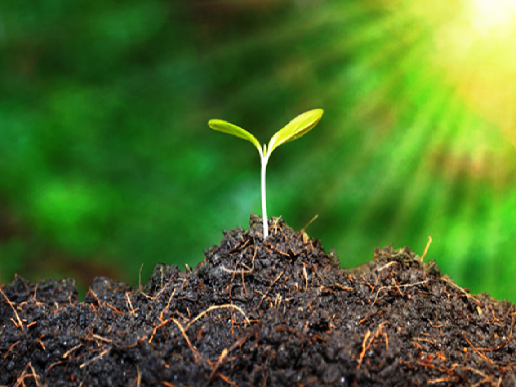 Organic Farming Organic Farming