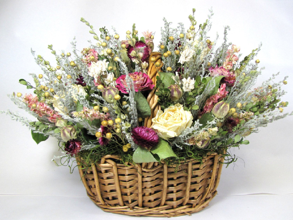Dry Flowers Dry Flowers